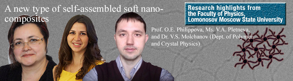 2015-new-type-of-self-assembled-soft-nanocomposites-EN.jpg